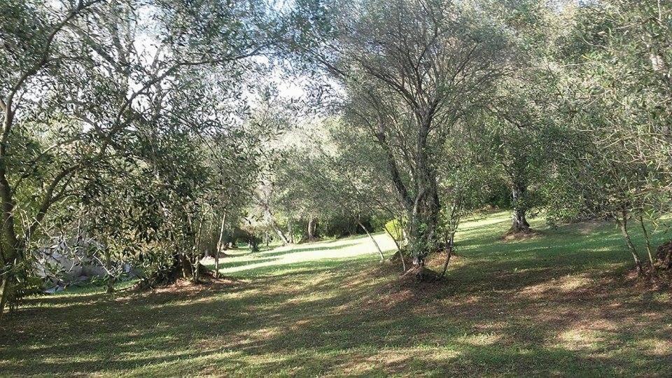 Karamali Green Danilia Villas Gouvia Exteriér fotografie